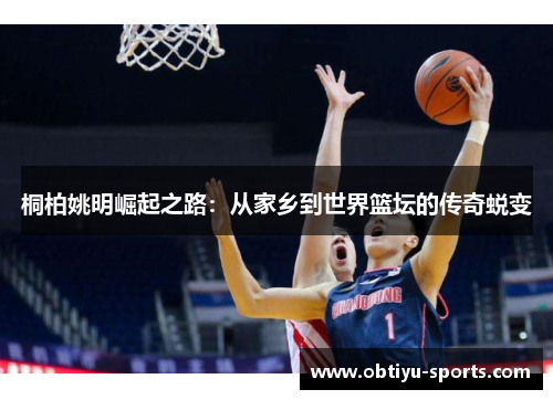 桐柏姚明崛起之路：从家乡到世界篮坛的传奇蜕变